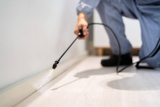 Professional exterminator conducting IPM assessment in Fountainebleau